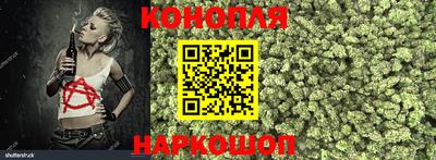сатива Кинель