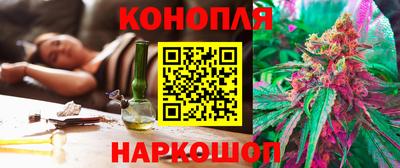 сатива Кинель