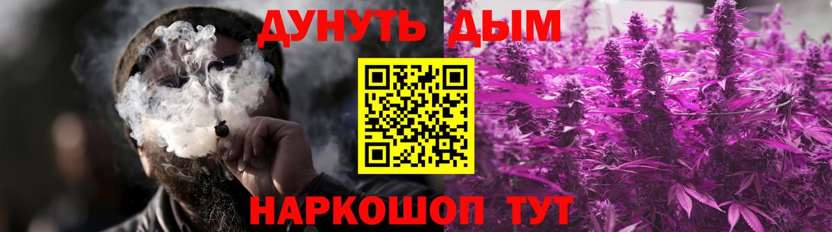 Шишки марихуана план  Конопля сатива  Каннабис ГИДРОПОН  Щёлково  Бошки марихуана конопля  Вход с VPN 
